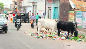Heaps of garbage in Nanak Nagar in Jammu.