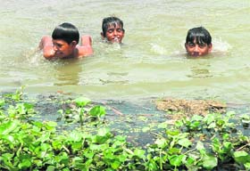 Unmindful of the muddy water, these young boys splash in a pond at Sector 42, in Chandigarh