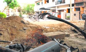 Telephone cables damaged by MC workers at Sector 46, Chandigarh, on Sunday.