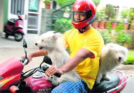 A man enjoys with his pets by giving them a pleasure ride on his motorcycle in Chandigarh.