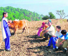 Students of Government Senior Secondary School, Makreri, engaged in various activities.