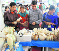 An exhibition on the Ridge in Shimla.