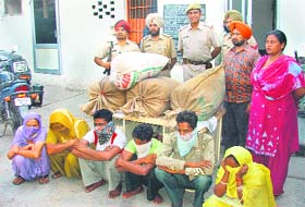 Accused with the seized poppy husk sacks in police custody in Ludhiana