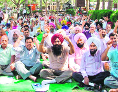 Members of the Punjab State Ministerial Services Union stage protest in front of the Mini Secretariat in Ludhiana.