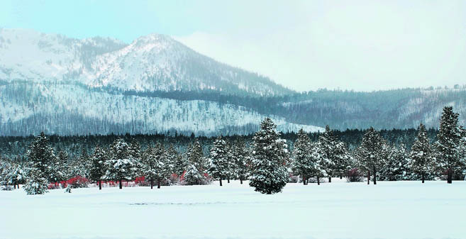 Nestled in the mountains, Lake Tahoe boasts of having the deepest snow in the US
