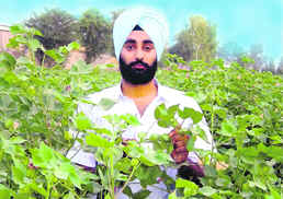 Rahul Singh Sidhu