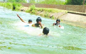 Children take a dip in a canal to beat the heat in Jalandhar