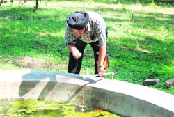 On a day when temperature rose above 41 degree celsius, a Doon resident quenches his thirst from a tap at the Forest Research Institute. 