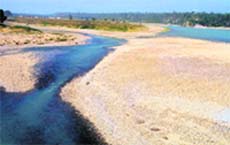 The poor flow of water in the Ganga at Neel Dhara in Haridwar. 