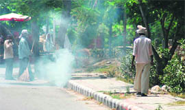Safai karamcharis burn dry leaves on a road in the Sector 7 area in Karnal on Thursday.