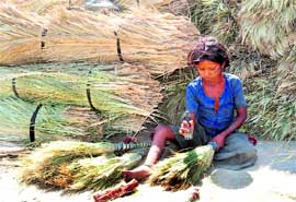 A girl makes brooms along the National Highway-1 in Karnal.