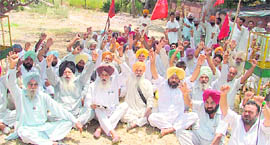 Farmers stage a dharna in front of the PSEB zonal headquarters in Ludhiana on Thursday.
