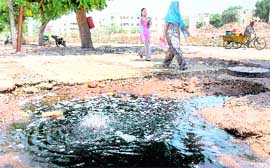 A leaking tertiary water supply line near Sector 47 gurdwara has become a breeding ground for mosquitoes.