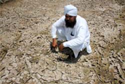 Iqbal Singh, a farmer, sits in his paddy field, which has dried up due to inadequate water supply at Amargarh village in Bathinda