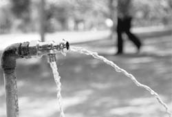 Even as Chandigarh reels under water scarcity, no one has fixed this tap in a park in Sector 10.