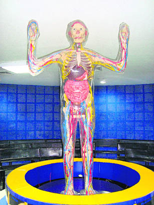 Schoolchildren can have a look inside the human body through a life-size transparent model