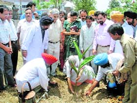 Health and family welfare minister Laxmi Kant Chawla plants a sapling at ESI Hospital in Mandi Gobindgarh on Monday.