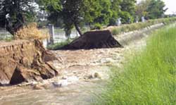 Breach in Malukpura canal distributary near Abohar town inundated more than 300 acres of land