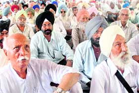 Pensioners protest during a rally at Sector 17 in Chandigarh on Friday.