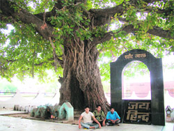 As many as 200 freedom fighters were hanged from this 250-year-old banyan tree