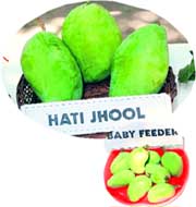 The biggest and smallest mangoes in the fest.