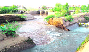 A breach in the Southern Ghaggar Canal in a Sirsa village.