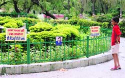 A youngster looks at the photograph of Ranbir Singh, placed by his family members after a condolence meeting, at the Gandhi Park in Dehradun on Thursday.