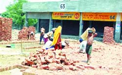 Work going on at the grain market in Amritsar.