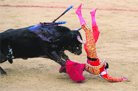 A matador is tossed by a bull duriAng a bullfight at the Plaza de Toros on the sixth day of the San Fermin Festival in Pamplona.  