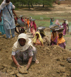 Elderly women at village Bhalaiana in Muktsar district work at a pond site under the NREGA scheme.