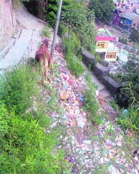 Heaps of garbage on the hill slopes of Sultanpur in Kullu