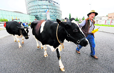 Farmers pass by the EU Parliament as they demonstrate in Strasbourg, eastern France, for fair milk prices, lower dairy quotas and a better hold on production, on Tuesday during the plenary session of the new European Parliament.