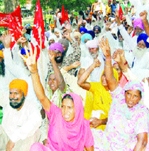 Farmers protest outside the Deputy Commissioners office in Amritsar.