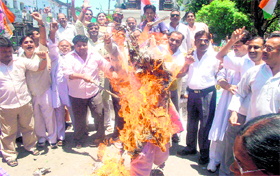 Congress workers burn the effigy of Mayawati in Haridwar on Thursday.