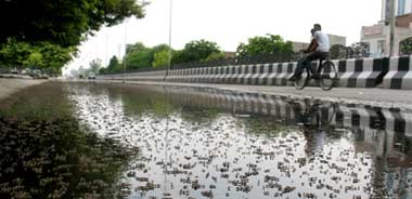 Stagnant water is a breeding ground for mosquitos which gives rise to diseases like malaria and dengue. The dengue outbreak in the city last year is still fresh in the minds of the people