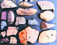 Stone age tools recovered from the river bed of a tributary of the Sutlej. 