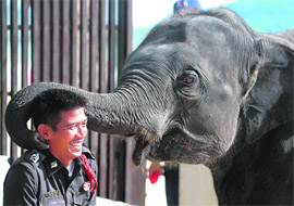 A Thai policeman plays with an elephant prior the 42nd Association of Southeast Asian Nations (ASEAN) ministerial meeting in Phuket island on Sunday. The military has been given increased powers to guard the foreign ministers attending the ASEAN Regional Forum that runs from July 19-23. 