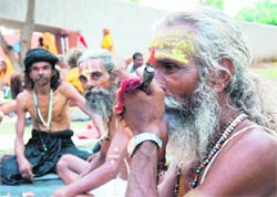 A sadhu, who has come for the solar eclipse fair, smokes chillum near Brahmsarovar in Kurukshetra.