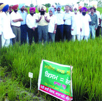 A farmer briefs the DC about mechanised paddy transplantation process at Farm School in Amritsar.