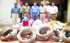 Thieves along with seized scrap material in the police custody in Ludhiana on Friday.