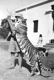 Jim Corbett with pet tigress Diana. 