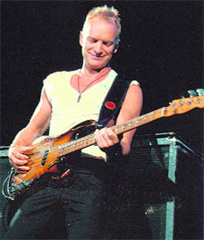 Sting in My Music Brain 