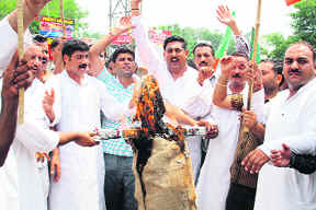 Members of the BJYM burn an effigy of state government in Jammu on Sunday. 