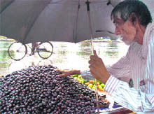 A vendor selling jamuns in Ludhiana