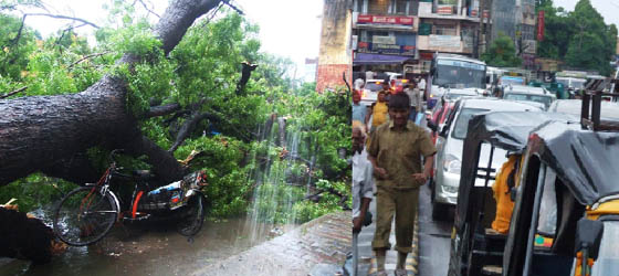 A neem tree that fell on the road near Civil Hospital due to heavy rain in Gurgaon on Monday. (right) Vehicles crawl as the neem tree fell near Civil Hospital.