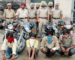 Four motorcycle lifters in police custody in Jalandhar on Monday.