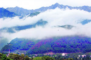 A beautiful view of Dhauladhar ranges at Dharamsala on Tuesday.