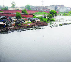 A swollen Budha Nullah following rain in Ludhiana on Tuesday.