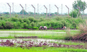 Khatmarian border village faces the threat of being flooded owing to the blocking of rainwater flow by bunkers built by the Pak army.