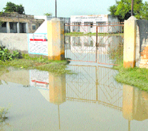 The inundated premises of Government Primary School at Kukkar Pind in Jalandhar on Thursday.